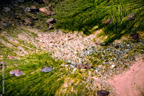 Brechendes Sonnenlicht im Wasser des Bachs