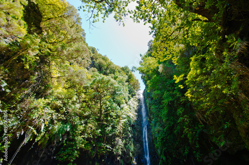 Waterfall and sky in the forest  Madeira  Portugal