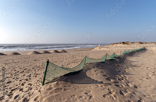 Hourtin beach in Aquitaine coast photo