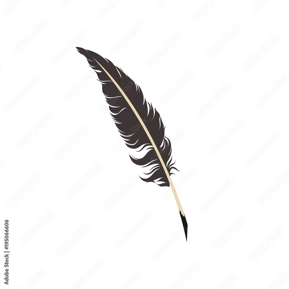 Fototapeta premium Feather on white background vector