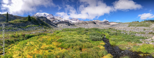 Panoramic view of Mt Rainier landscape on a beautiful summer day