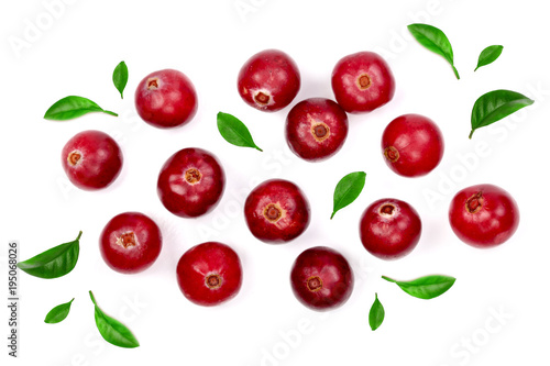 Cranberry isolated on white background closeup top view