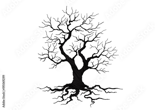 tree silhouette isolated on white background.