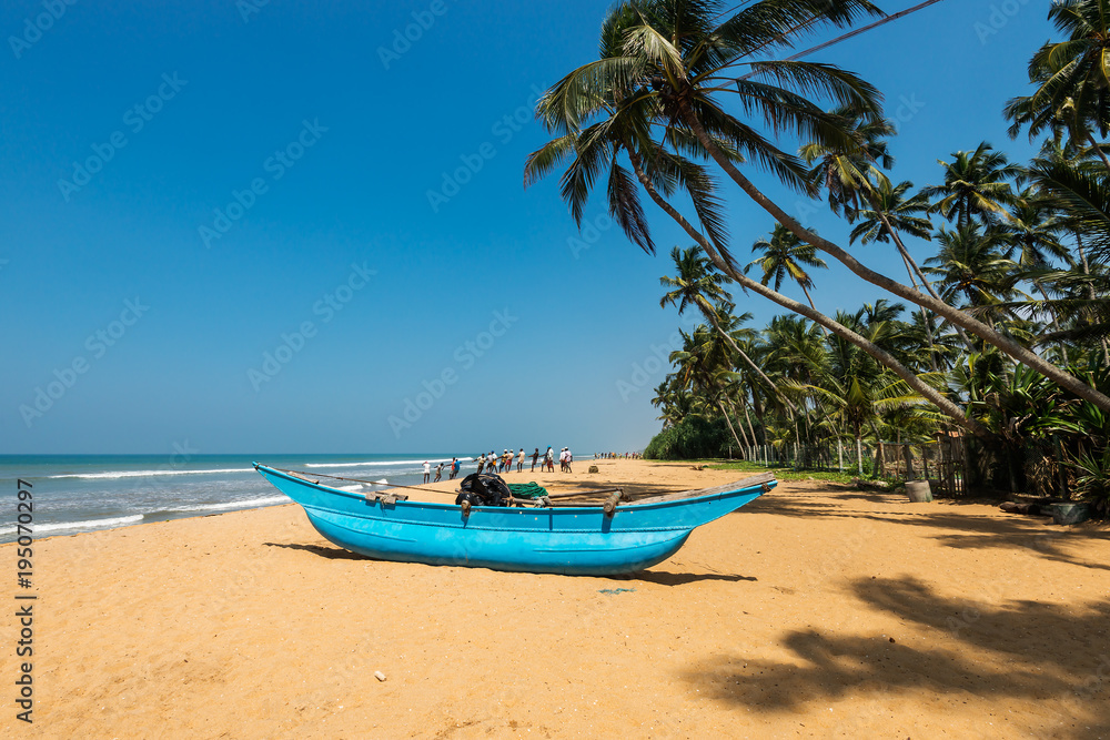 beach with palms and fishing boats, Sri-Lanka beach with palms and fishing boats, Sri-Lanka