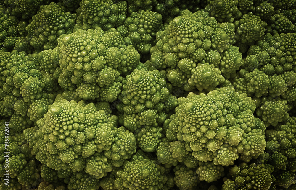 Macro close up of a Romanesco cauliflower showing fractal structure