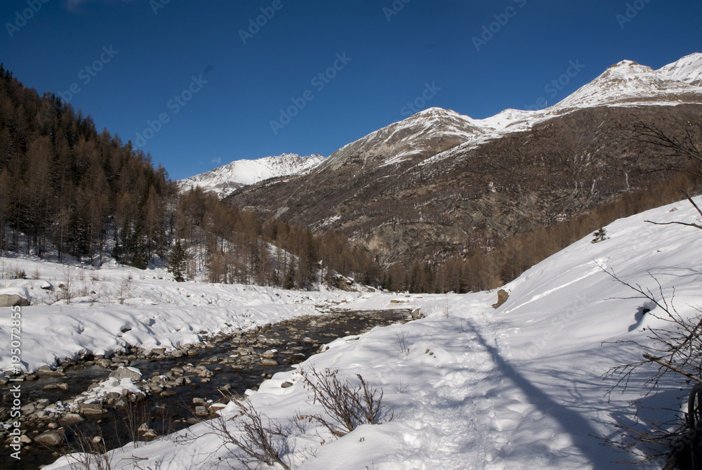 Winter in mountain