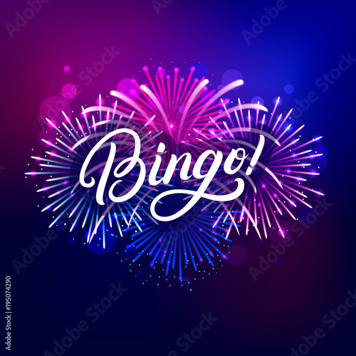 Bingo hand written lettering text