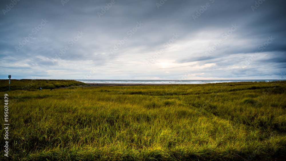 Dark Sky and Rolling Cloud Covering A Vast Field Of Green Grasses With The Ocean and Beach At The Back In Long Beach Washington