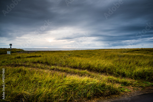 The Rough Ocean Is Behind A Field Of Tall Green Grasses In The Rain Brought By The Storm In Long Beach Washington 