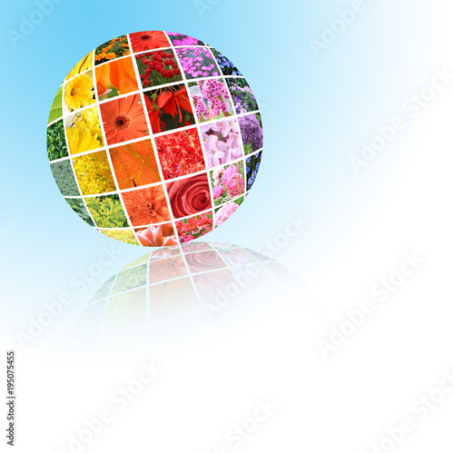 Fototapeta Naklejka Na Ścianę i Meble -  Colorful collage of flowers.