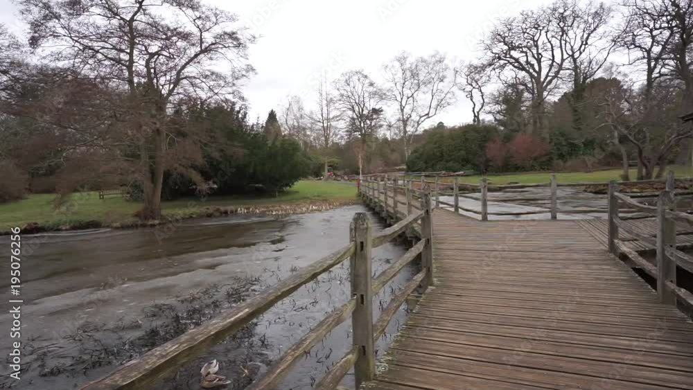Partially frozen lake at Savill Garden, near Virginia Water in Surrey, UK Partially frozen lake at Savill Garden, near Virginia Water in Surrey, UK