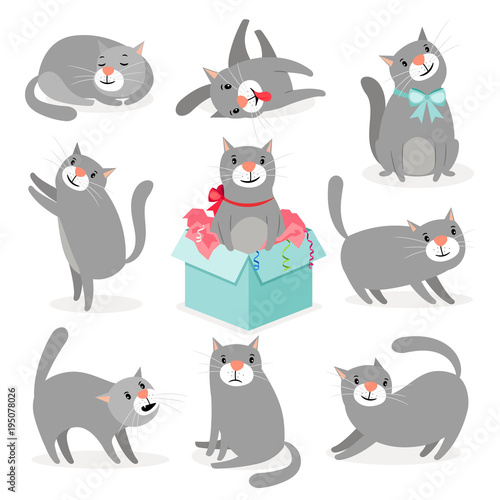 Gray cute cats collection