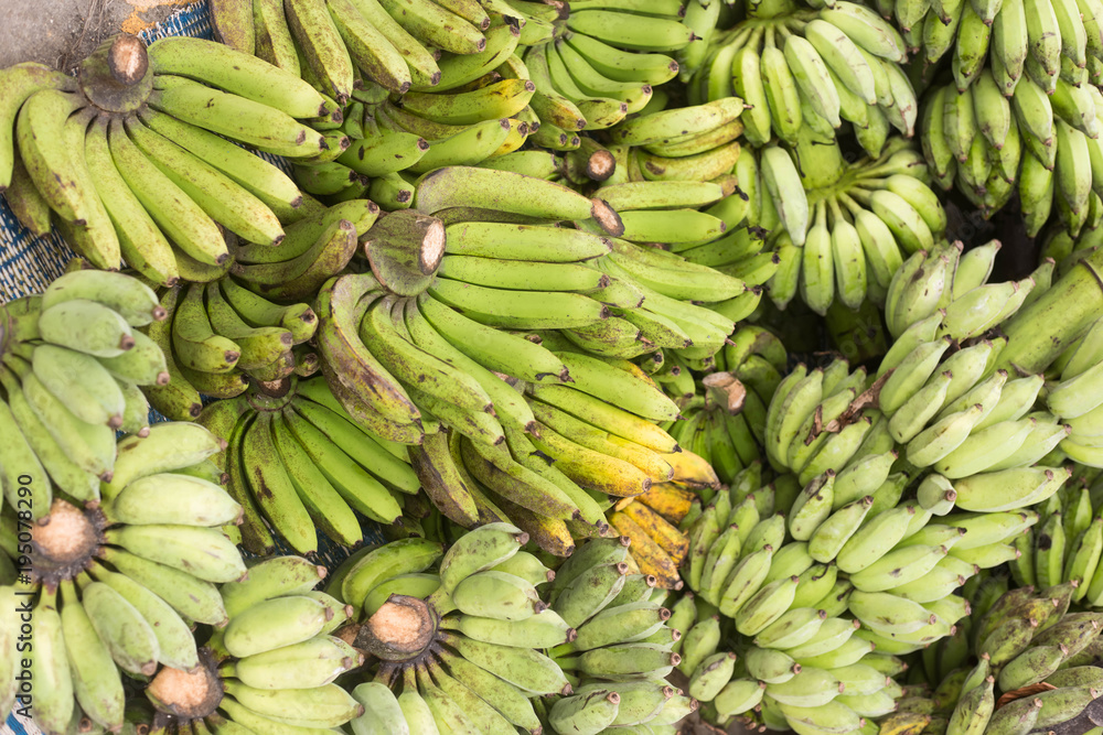 Many bananas are fruits that contain vitamins. And useful to the body. Many bananas are fruits that contain vitamins. And useful to the body.