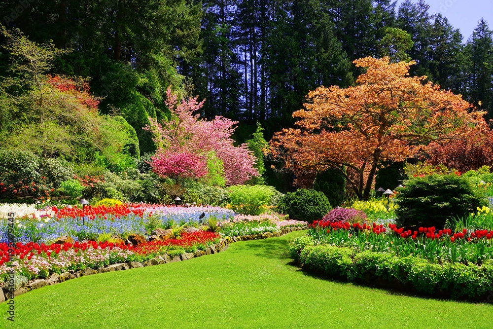 Naklejka premium Butchart Gardens, Victoria, Kanada. Wibrujące wiosenne kolory zatopionego ogrodu.