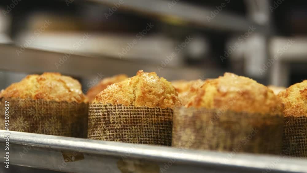 A baking tray of freshly baked muffins at a bakery A baking tray of freshly baked muffins at a bakery
