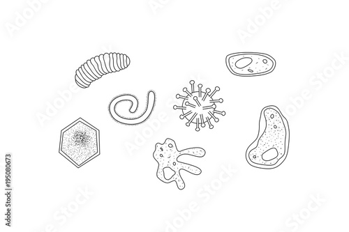 Microbes Collection. Drawing of microscopic organisms, vector illustration.
