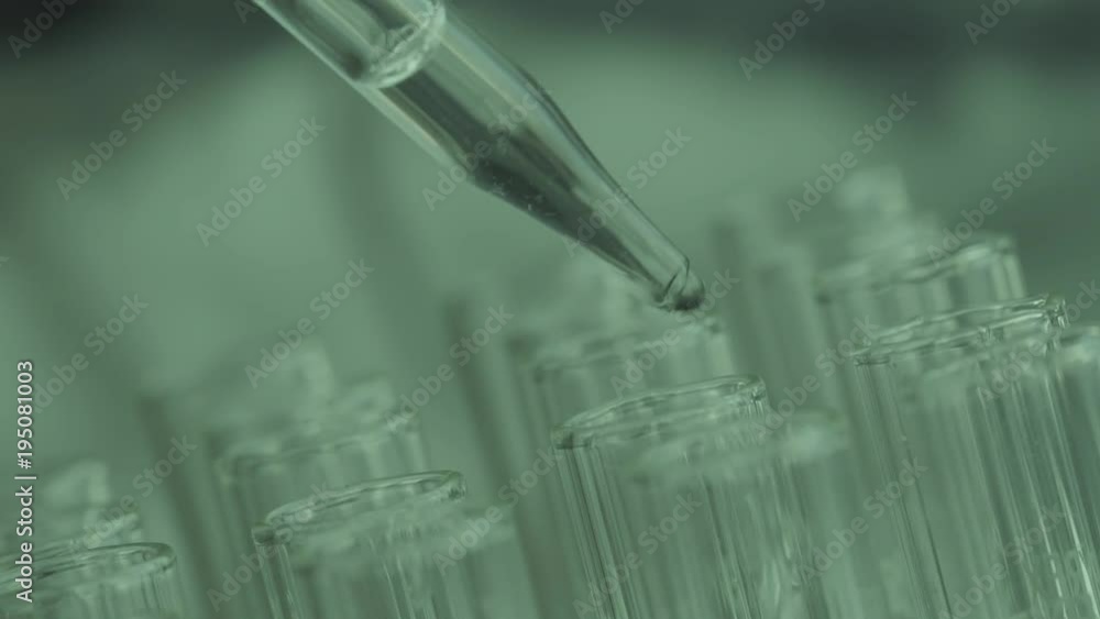 Close up of laboratory scientist working with a pipette analyzes and extract the DNA or molecules in the test tubes.on blue background with virtual interface Close up of laboratory scientist working with a pipette analyzes and extract the DNA or molecules in the test tubes.on blue background with virtual interface