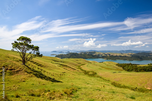 Beautiful wide angle view of the Coromandel Peninsula on the North Island of New Zealand seen from the Manaia Road Saddle and Lookout, a popular spot for tourists. Beautiful tree on the left. photo