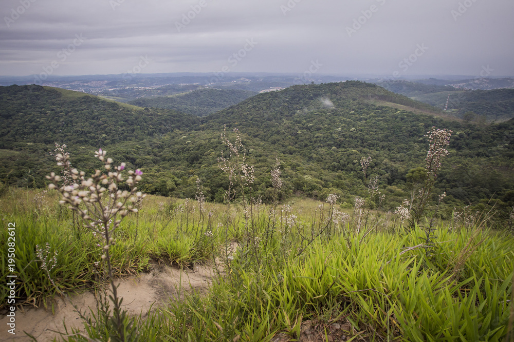 Naklejka premium Serra do Mursa - SP