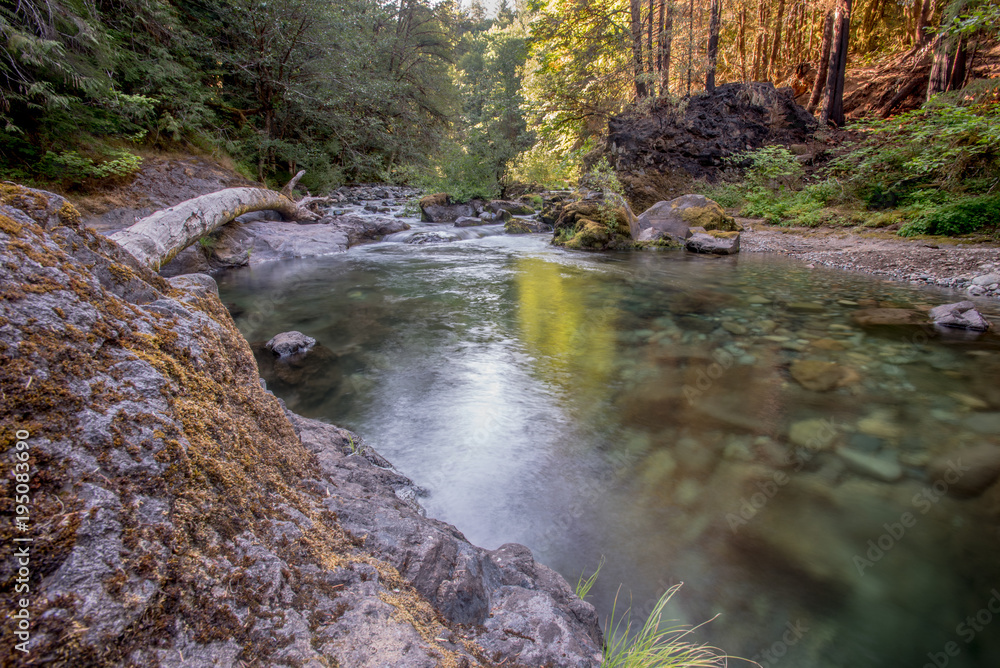 Sun Shines Over Brice Creek