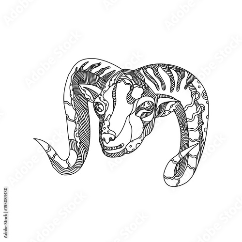 Doodle art illustration of head of an argali or mountain sheep (species Ovis ammon), a Mongolian word for wild sheep that roams the highlands of Central Asia done in black and white mandala style.