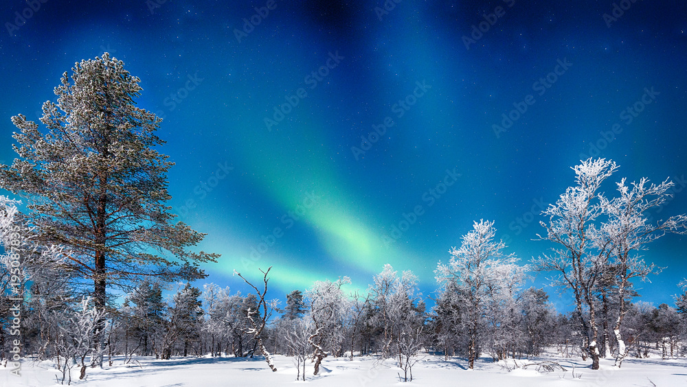 Aurora Borealis over winter wonderland scenery in Scandinavia