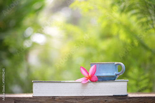 Blue vintage cup and plumaria flower with book on wood table photo