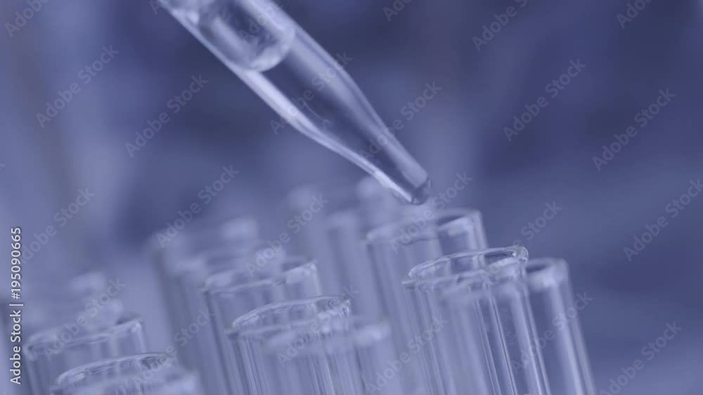 Close up of laboratory scientist working with a pipette analyzes and extract the DNA or molecules in the test tubes.on blue background with virtual interface
Close up of laboratory scientist working with a pipette analyzes and extract the DNA or molecules in the test tubes.on blue background with virtual interface