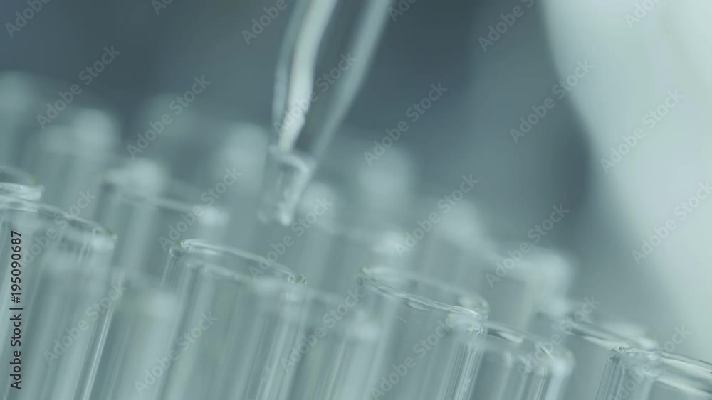 Close up of laboratory scientist working with a pipette analyzes and extract the DNA or molecules in the test tubes.on blue background with virtual interface
Close up of laboratory scientist working with a pipette analyzes and extract the DNA or molecules in the test tubes.on blue background with virtual interface
