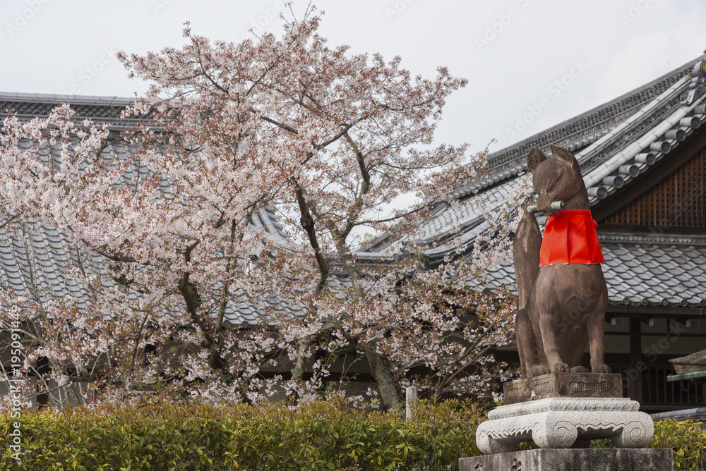 Statue of the fox-like deity Inari near the main hall of the Shinto shrine of Fushimi Inari-taisha in Kyoto, Japan.