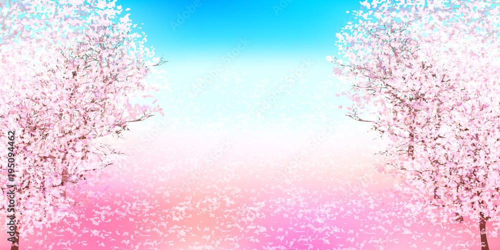 桜 春 花 背景 桜 春 花 背景