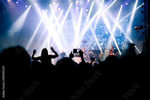 Crowd at concert