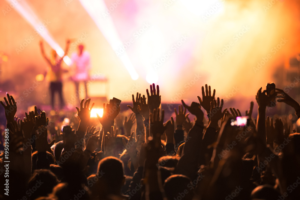 crowd at concert - summer music festival