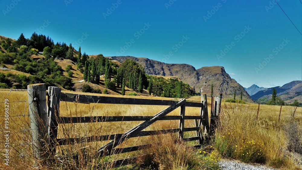 New Zealand pasture gate