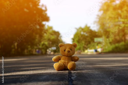 Teddy bear sits alone on the middle of road in the sunshine
