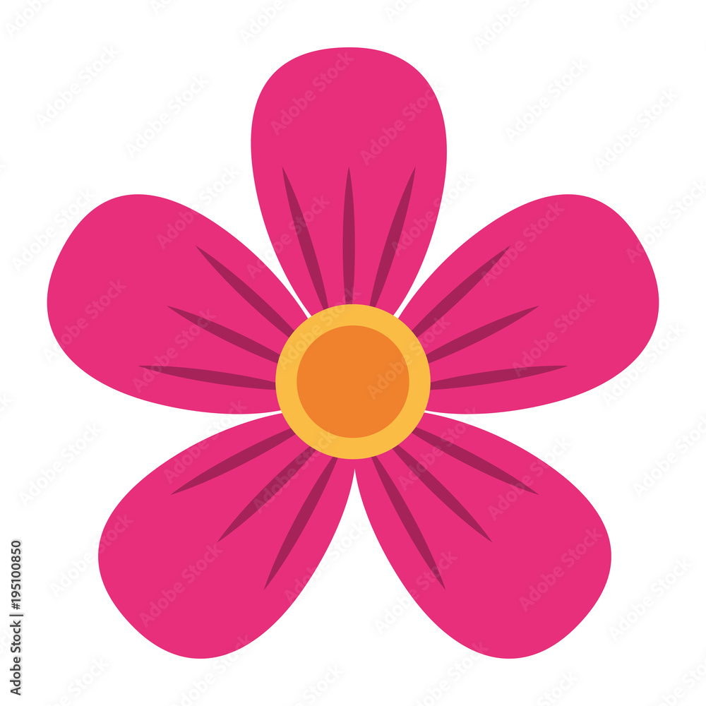 pink flower decoration ornament natural pink flower decoration ornament natural