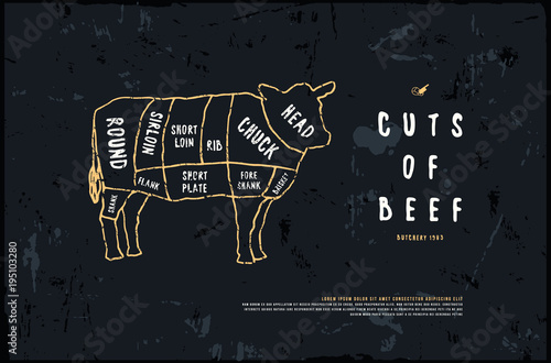 Stock vector beef cuts diagram