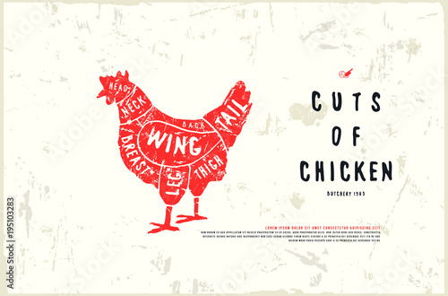 Stock vector chicken cuts diagram in the style of handmade graphics