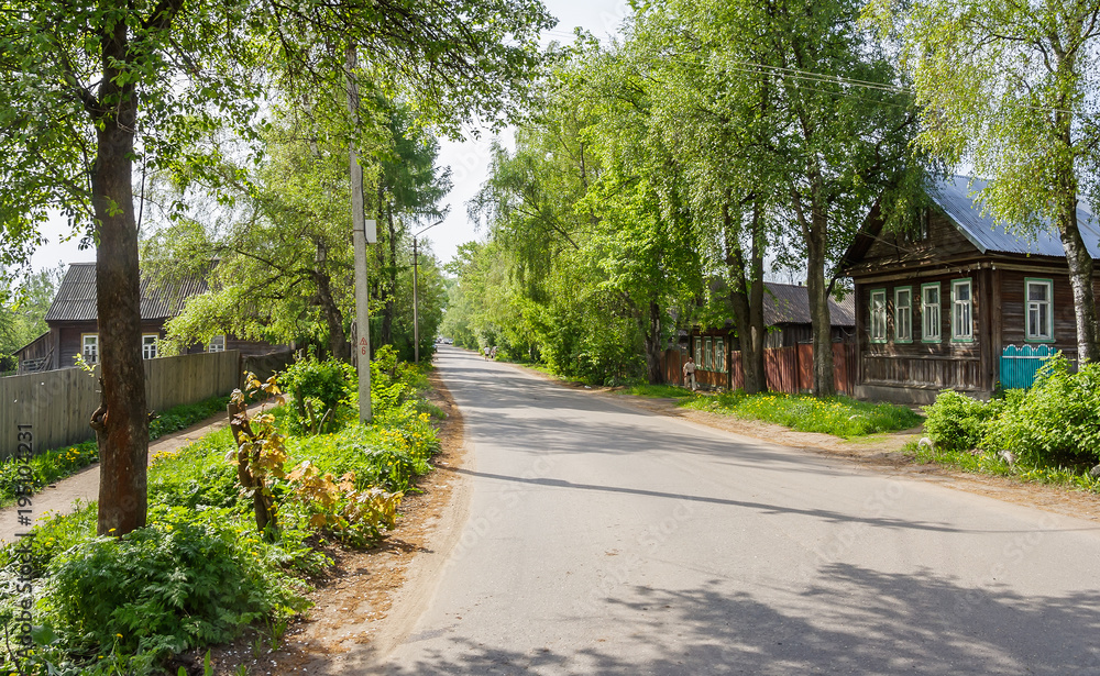 Rural street in green in the spring