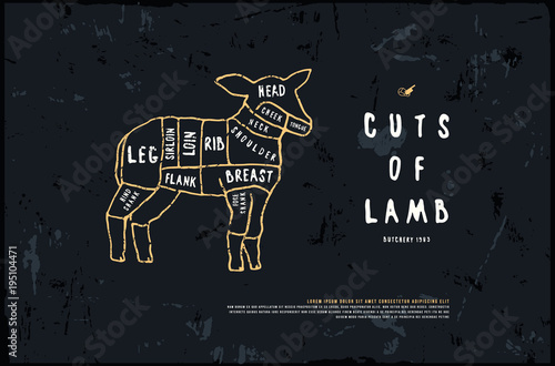 Stock vector lamb cuts diagram in the style of handmade graphics