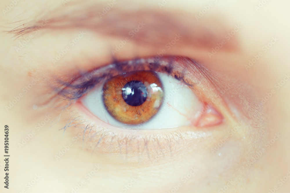 Brown eyes female macro