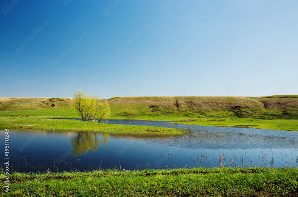 small lake with one tree on the background of blue sky and green fields.