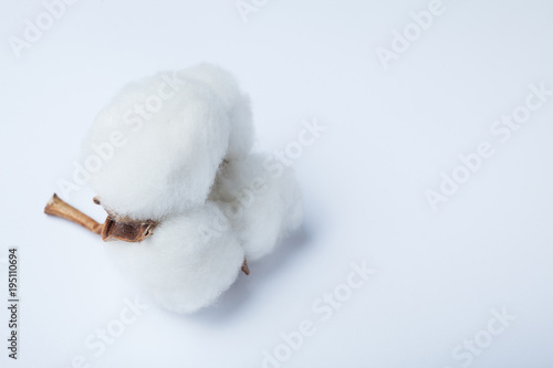 Fluffy cotton ball isolated on white background. empty space for text. © Andrii Zastrozhnov