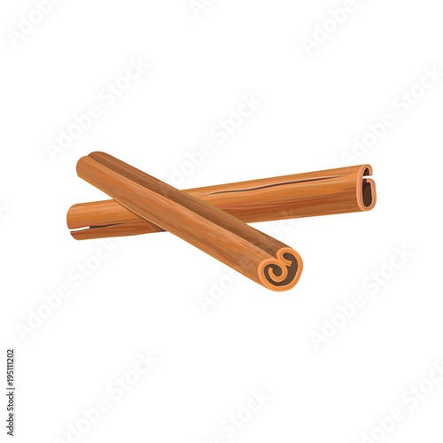 Two brown sticks of cinnamon. Fragrant spice for dishes. Cuisine theme. Graphic element for recipe book, restaurant or cafe menu decoration. Detailed vector illustration