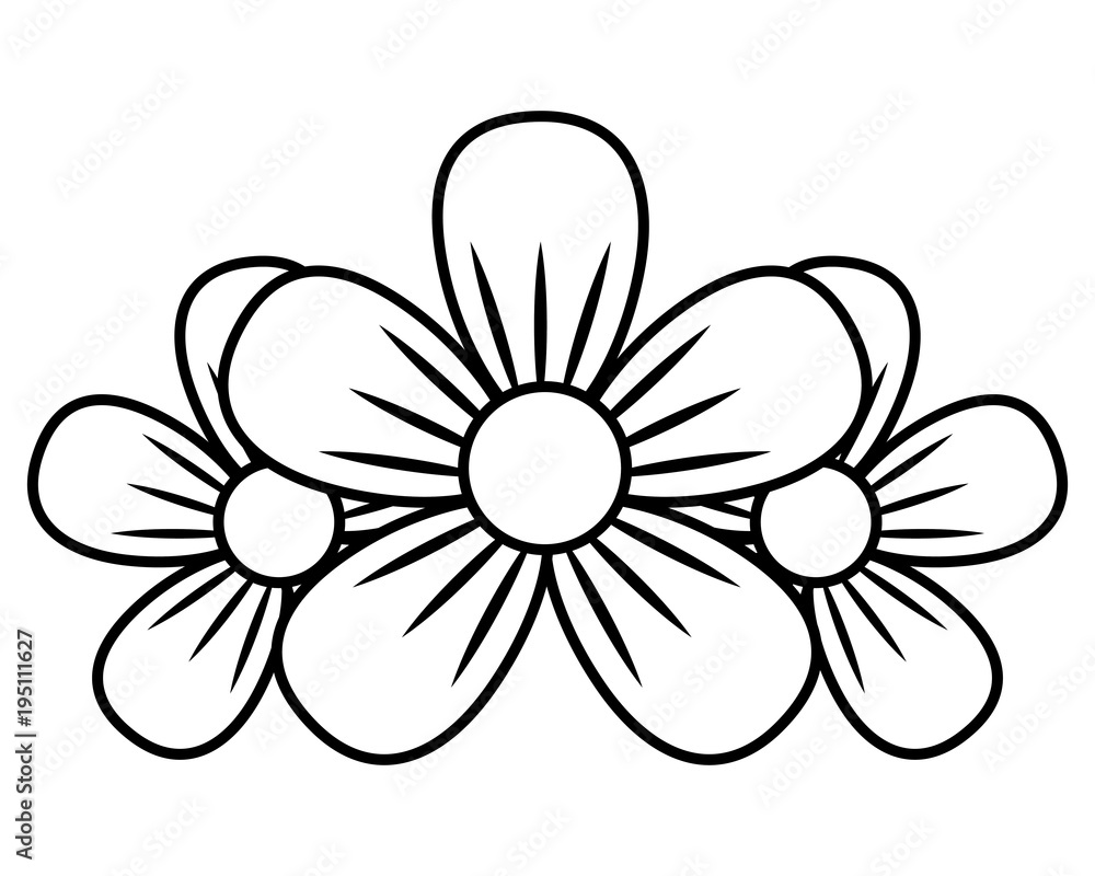 three flowers decoration nature romantic three flowers decoration nature romantic