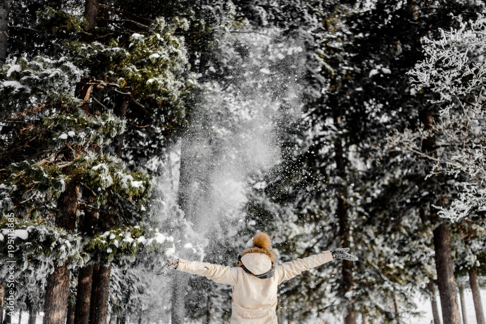 Fototapeta premium Winter forest