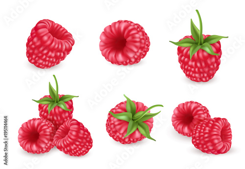 Raspberry vector icons set. 3d realistic vector illustration
