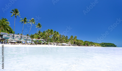 Tropical beach with coconut palm trees and white sand