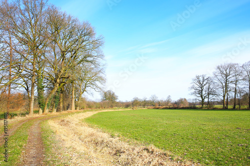 Idyllic landscape in the Versmolder Bruch near Guetersloh in Westphalia  Germany