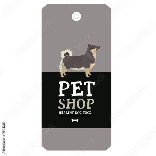 Poster Pet Shop Design label Swedish Vallhund Geometric style